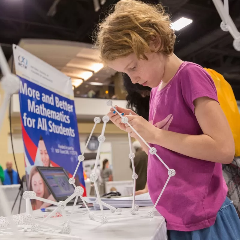 Tinkering with mathematics