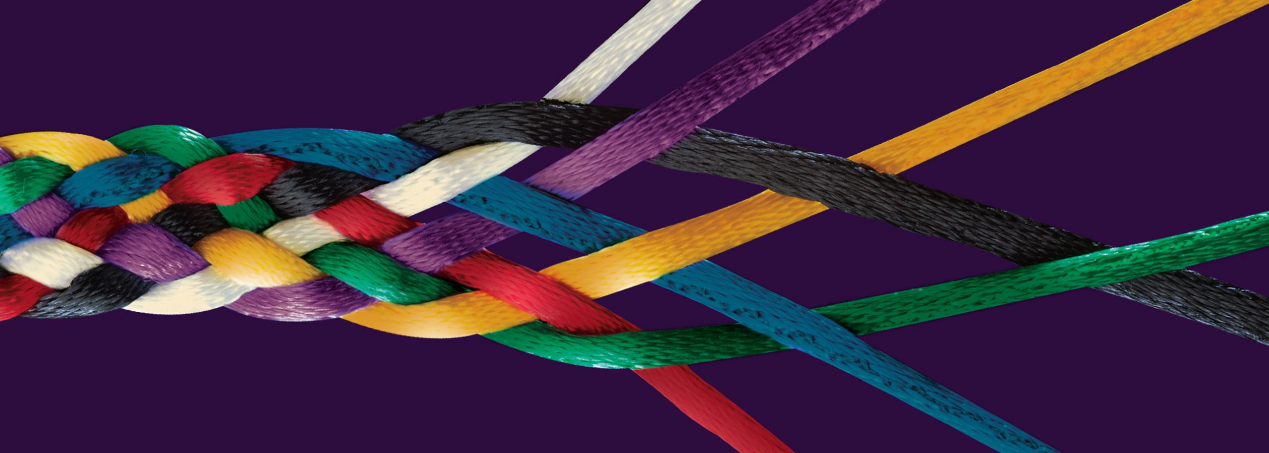 rope artwork from NMAAHC brochure