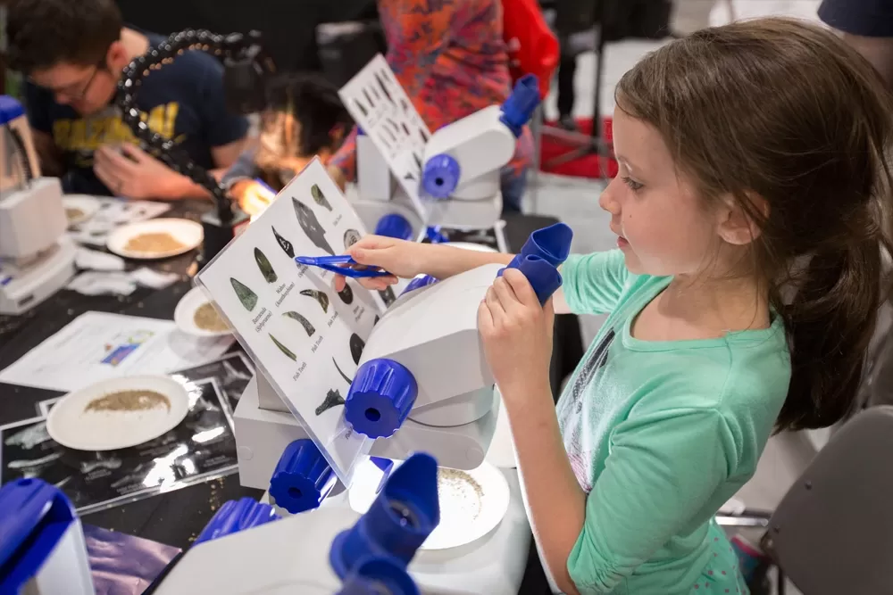 Learning to use a microscope